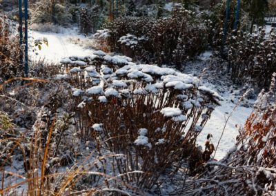 Baumschule Langhirt Gartengestaltung